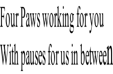 Four Paws working for you  With pauses for us in between